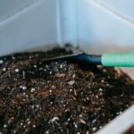 Beginner Tips for Composting at Home: Start Simple and Green